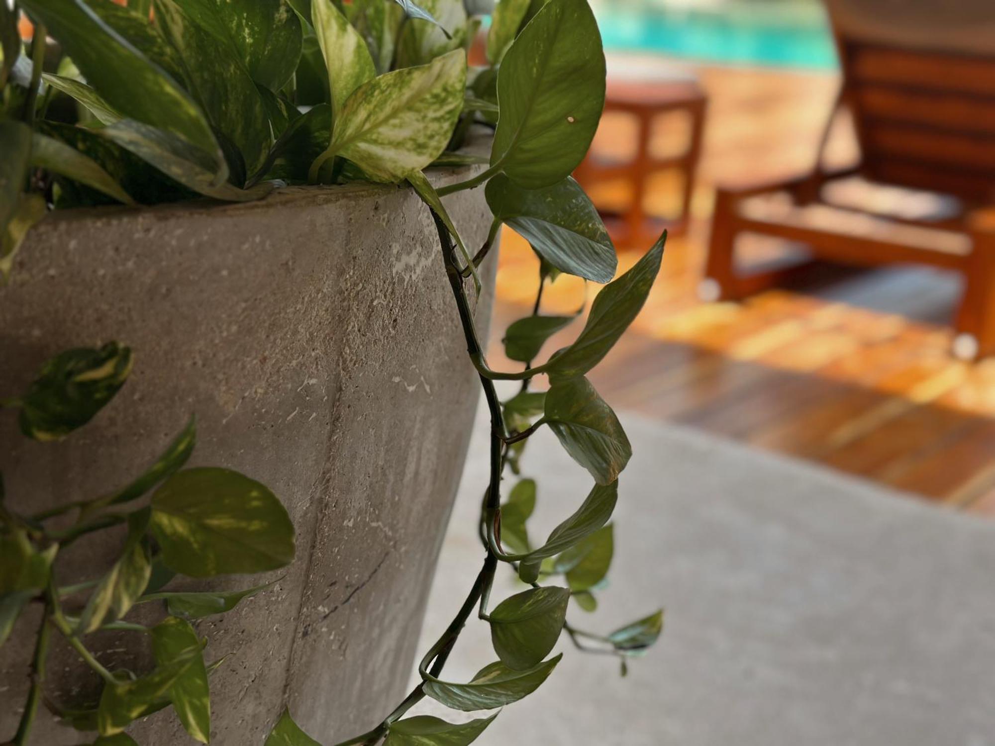 Ophelia Tulum Condo In Aldea Zama Luaran gambar