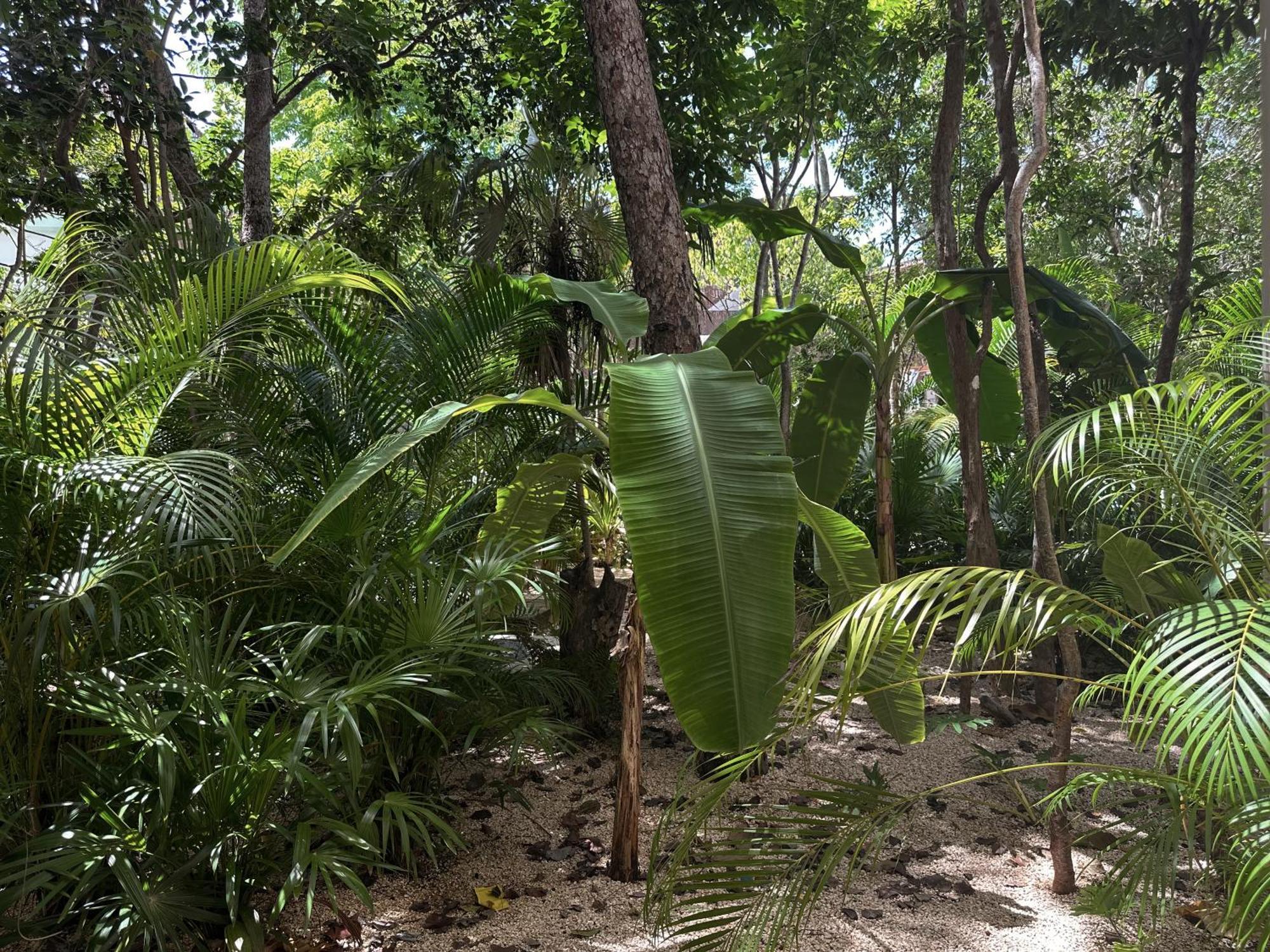 Ophelia Tulum Condo In Aldea Zama Luaran gambar